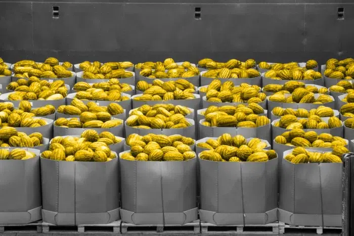 Black and white photo of produce in the warehouse. Watermelons colored yellow.